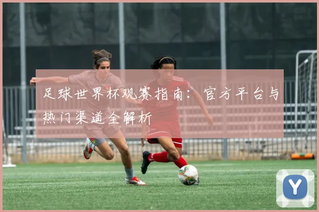 足球世界杯观赛指南：官方平台与热门渠道全解析